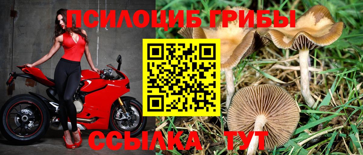  Кокаин Димитровград