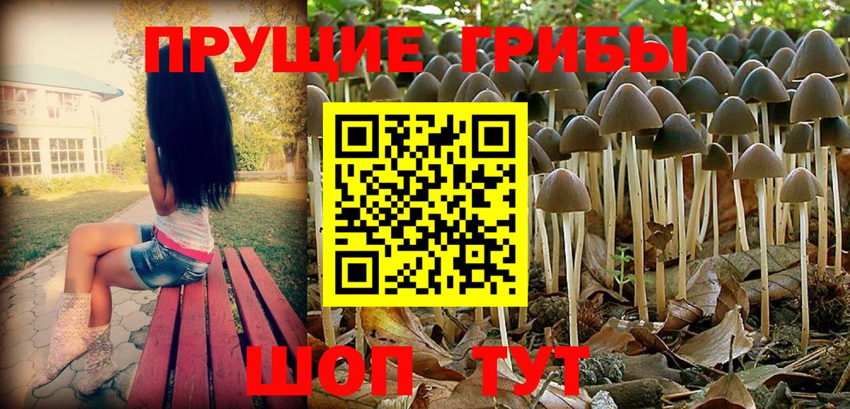 цена   Галлюциногенные грибы мицелий  Вход с VPN  Димитровград 